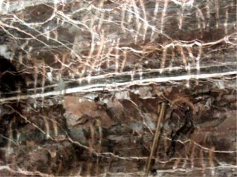 Pelitrötfolge mit Fasergipslagen am Tunnelstoß der Südröhre 